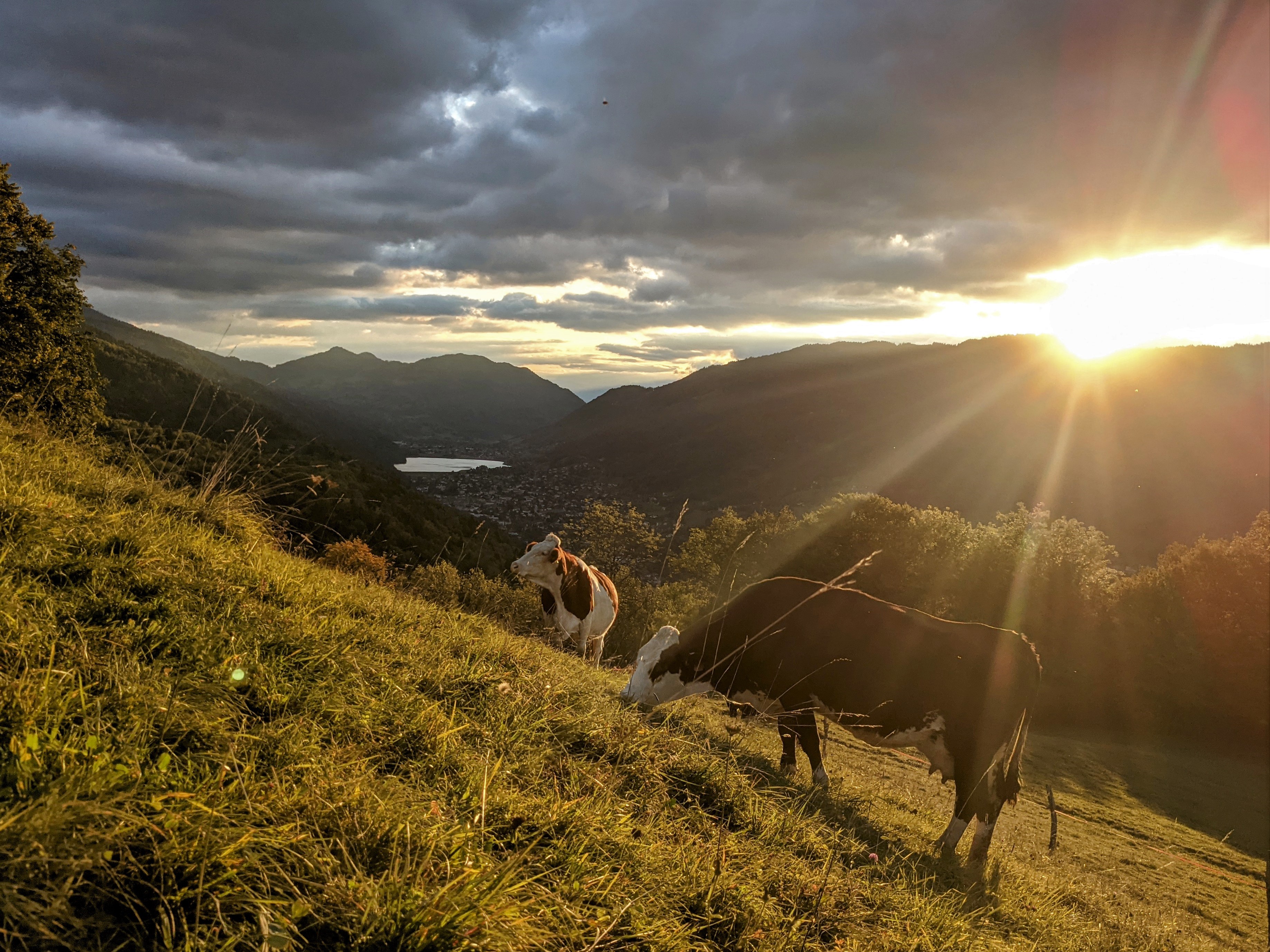 Ferme de la Grangette