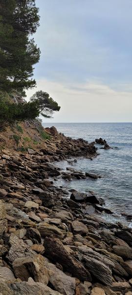 Baravian Laurent et Isabelle_Cavalaire-sur-Mer