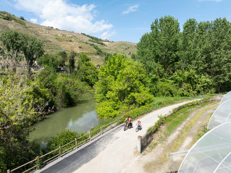 ViaRhôna : De Loire-sur-Rhône à Condrieu_Vienne