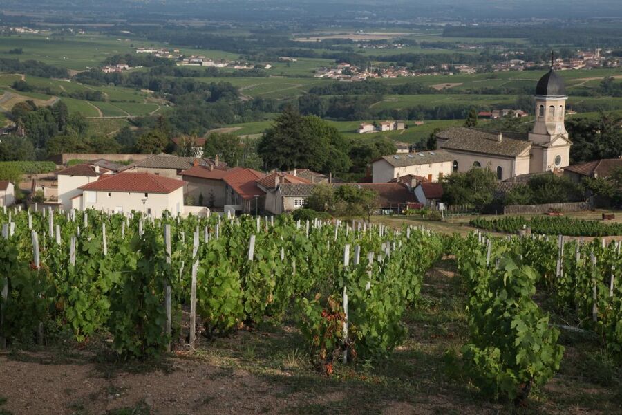 Domaine combe du loup