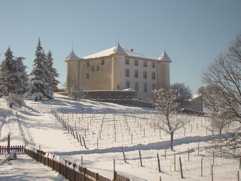 Château d'Aiguines