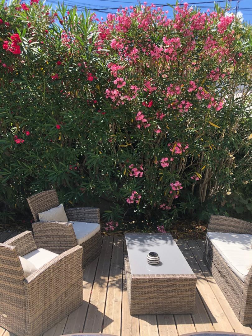 Le Clos Coulète, Eyragues - photo 3