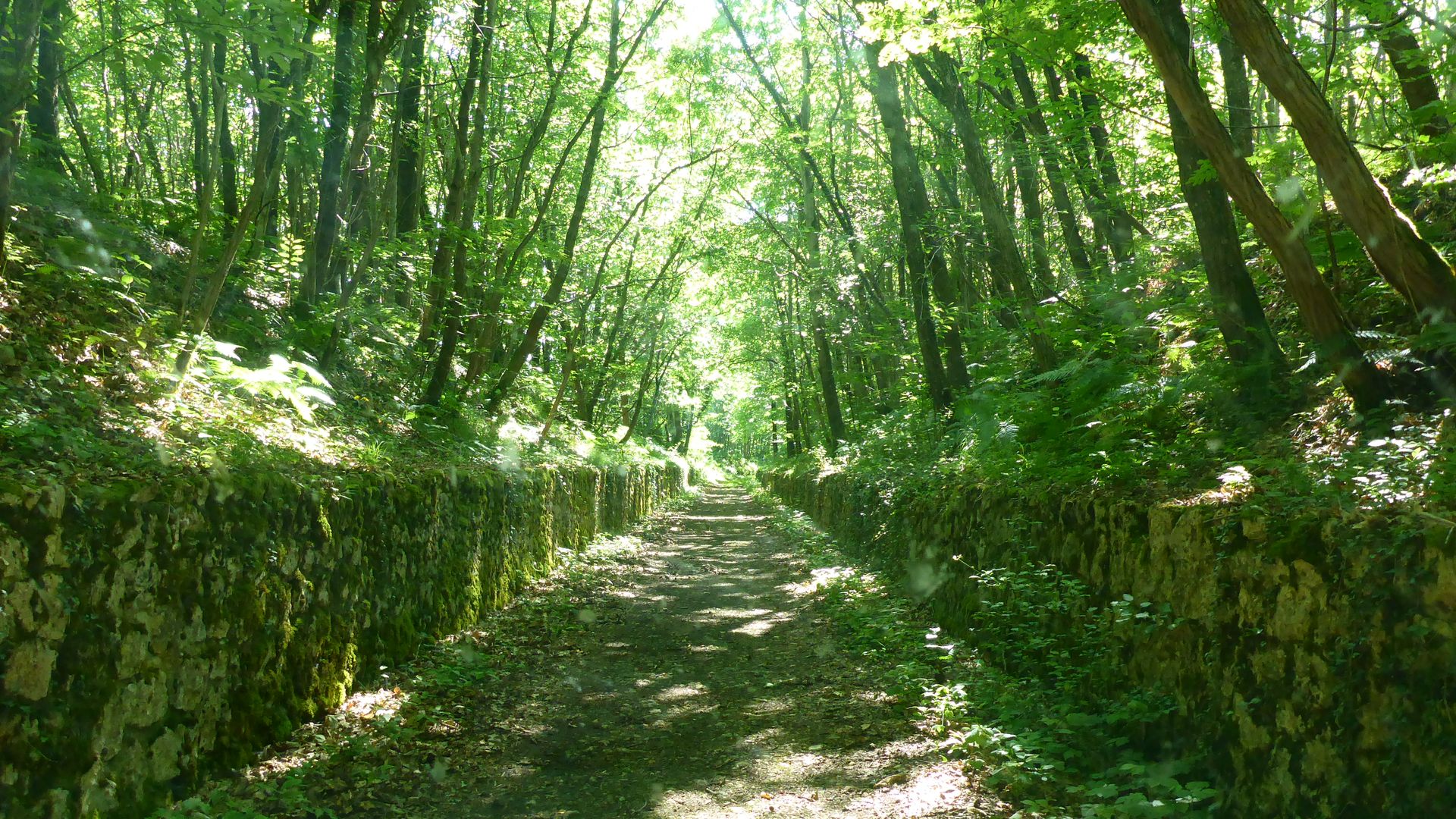 La Vallée du Coran