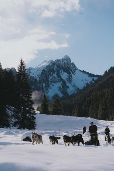 Initiation à la conduite d'attelage_Bellevaux