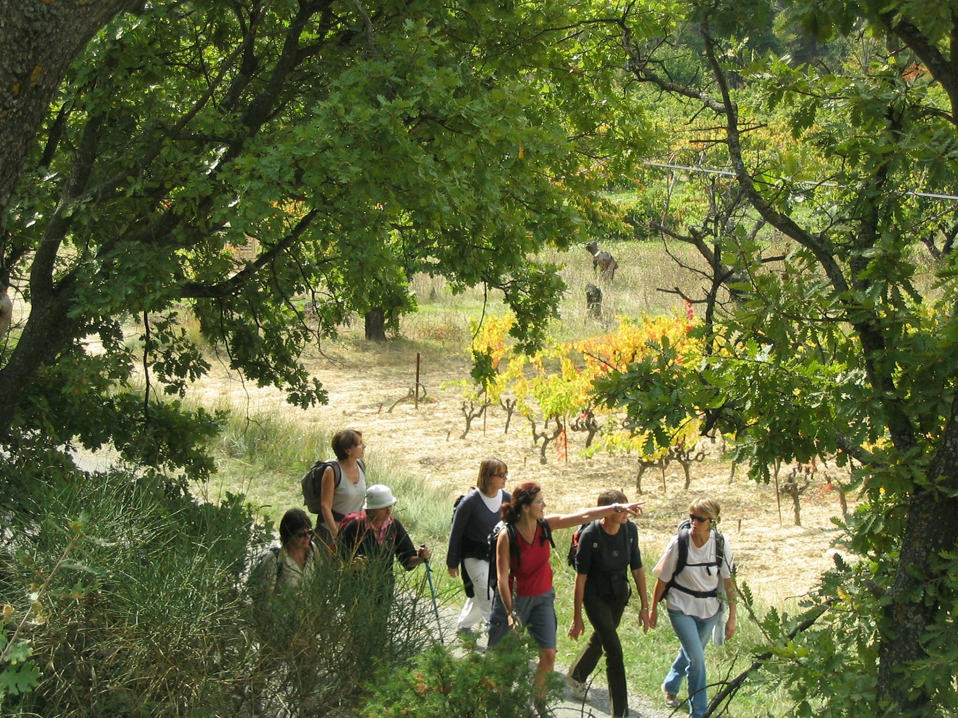 MJC - Maison des jeunes et de la culture Jacques Prévert, Aix-en-Provence - photo 5