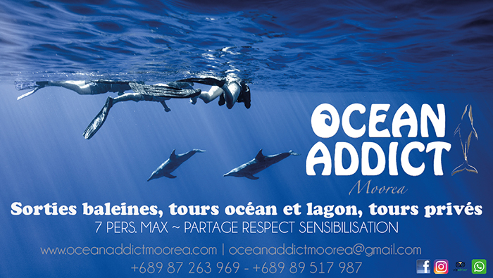 Ocean Addict Moorea