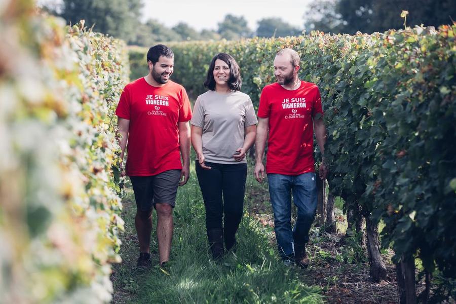 Visite du domaine viticole - Domaine Poncereau de Haut