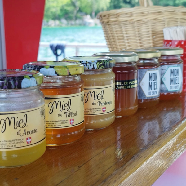 Api croisière_Chanaz