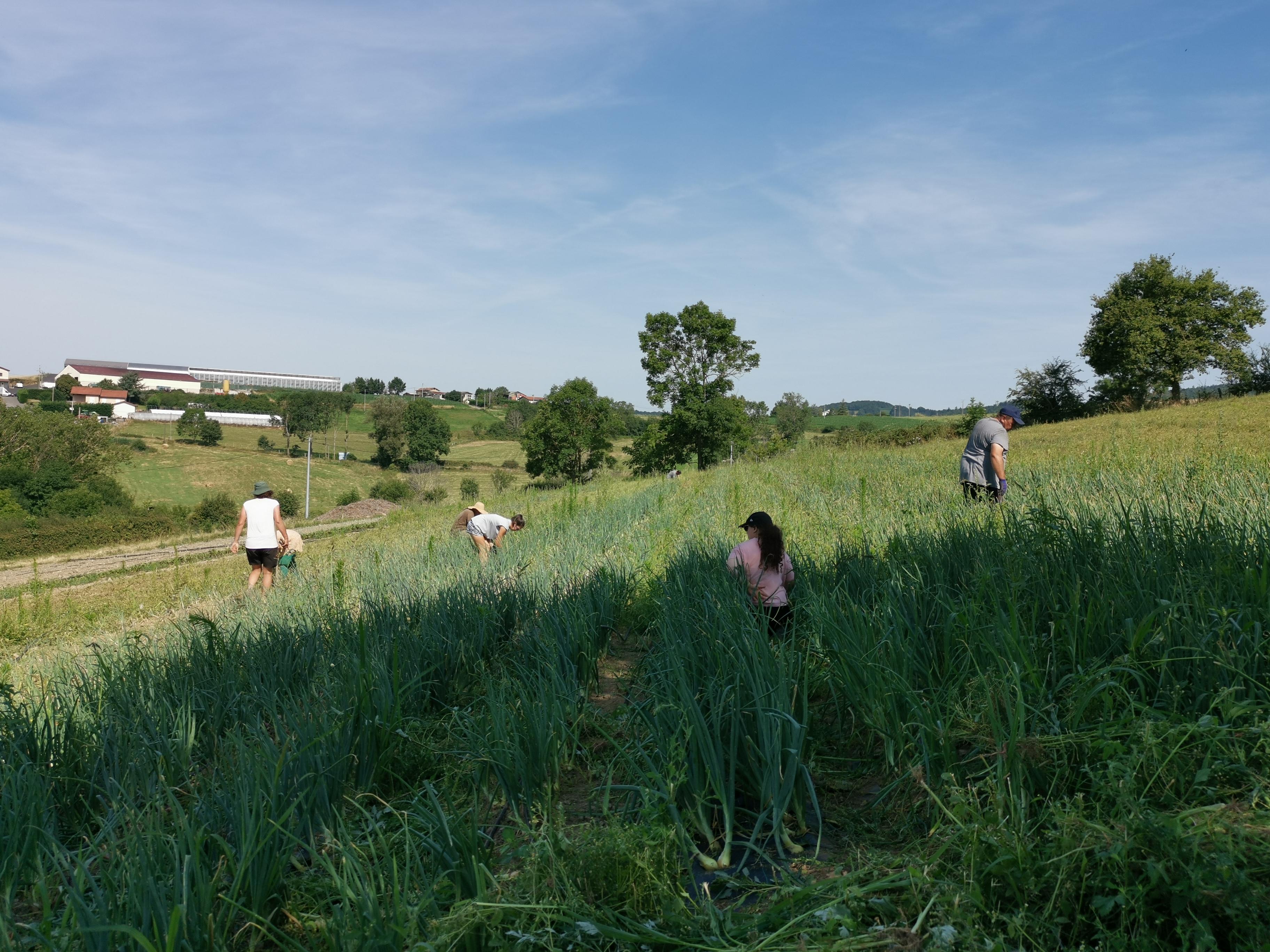 Découverte du Jardin D'avenir: du champ à l'assiette !_Saint-Martin-en-Haut