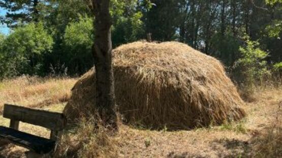 Les ateliers du jardin : Fabrication d'aménagements paysagers_Allex