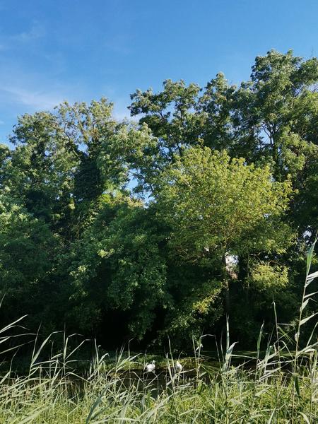 2021.06.12 - La Voulte (Printegarde) 3