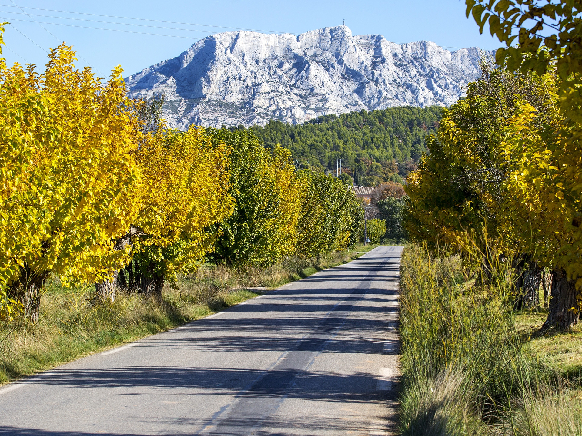 Grand Site Concors Sainte-Victoire