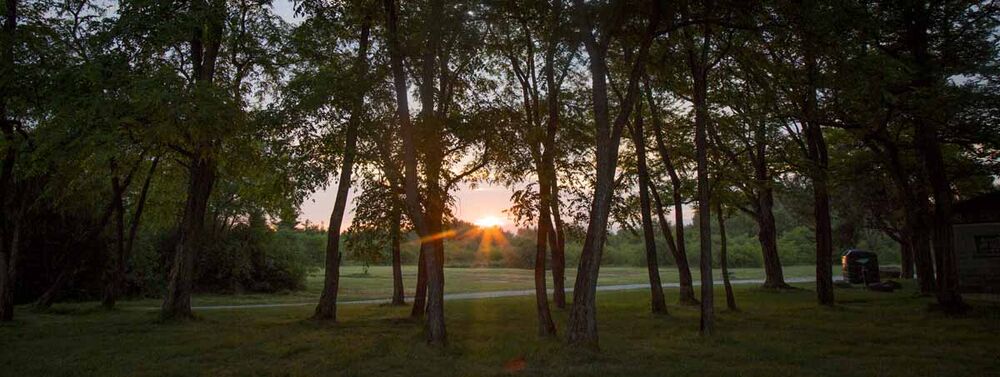 Espace Naturel Sensible des Communaux de Trept