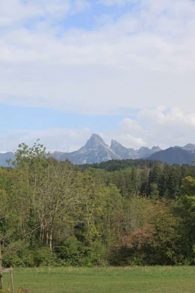 Boucle du tilleul et de la pierre à cupules