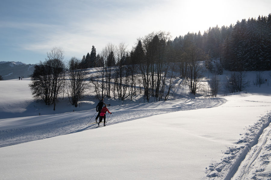 ski de fond à Combloux
