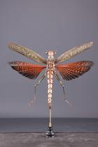 1220604_collection_museum.jpg