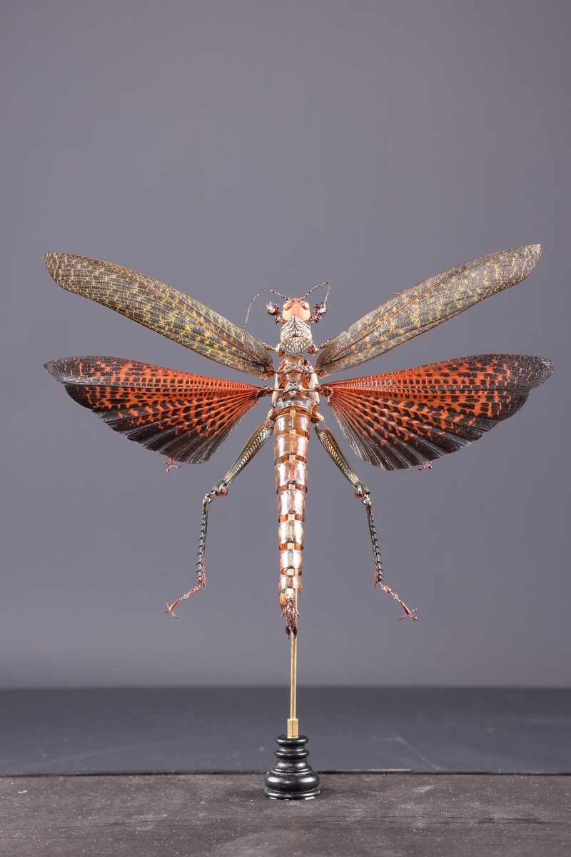1220604_collection_museum.jpg
