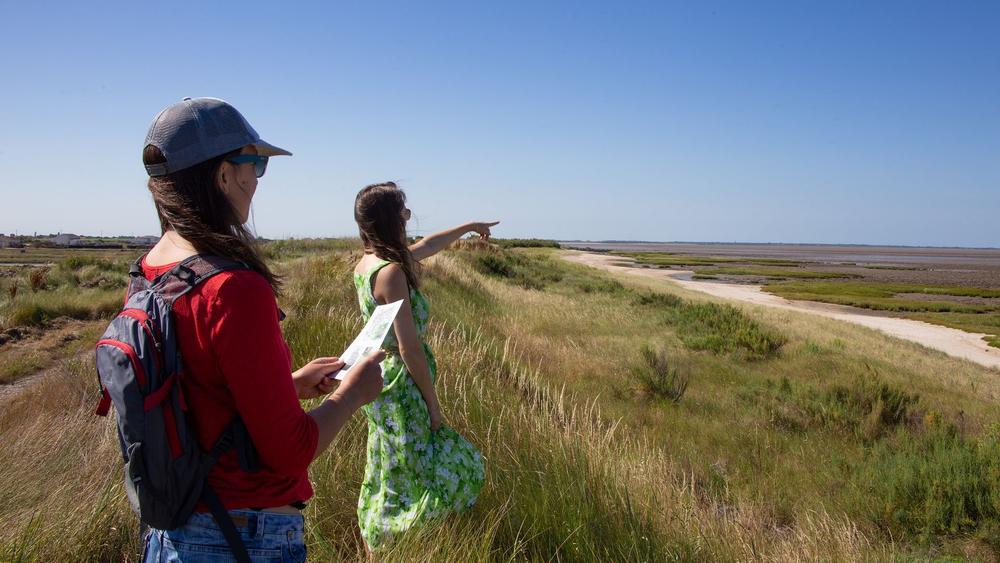 GR 8 ® - Le chemin littoral des falaises du Pertuis Breton : La Rochelle / L'Houmeau