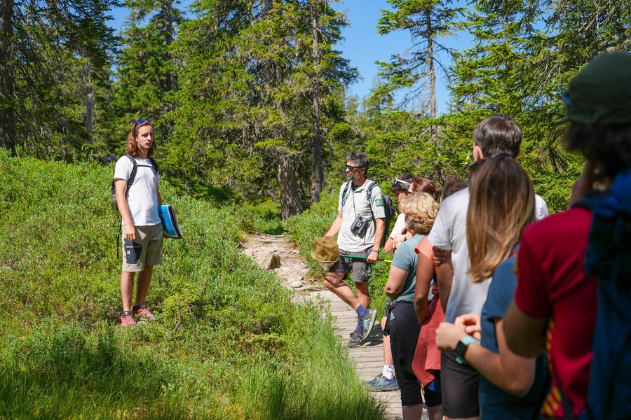 Le groupe dans la nature de la tourbiere Le groupe dans la nature de la tourbiere