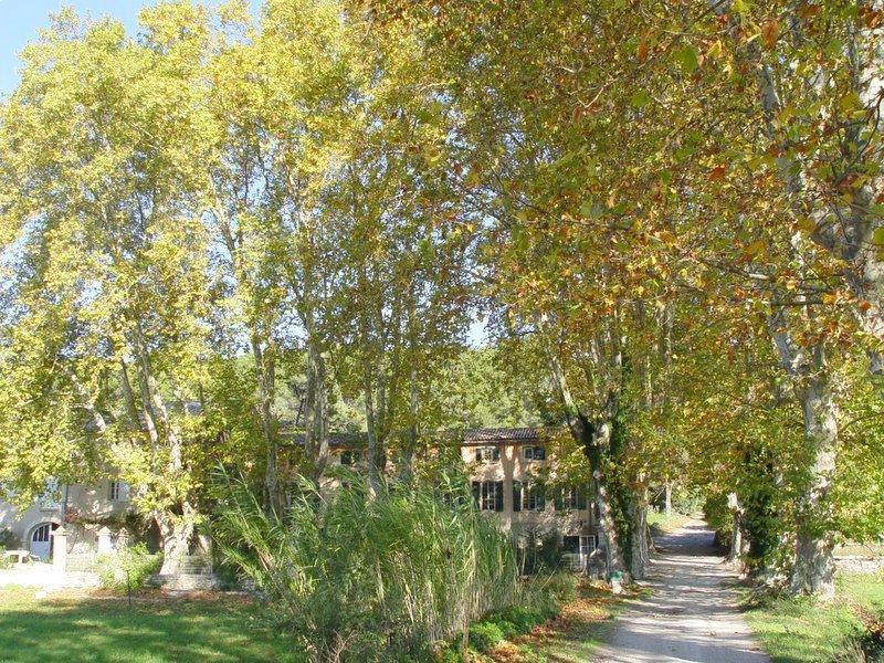 Le Mas Saint Roman - La Berrugueto, Maussane-les-Alpilles - photo 17