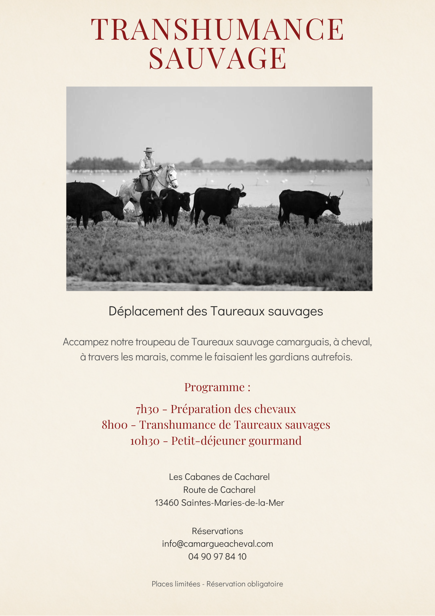 Transhumance sauvage