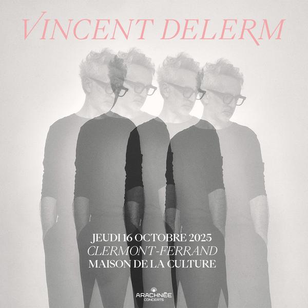 Vincent Delerm | Maison de la culture