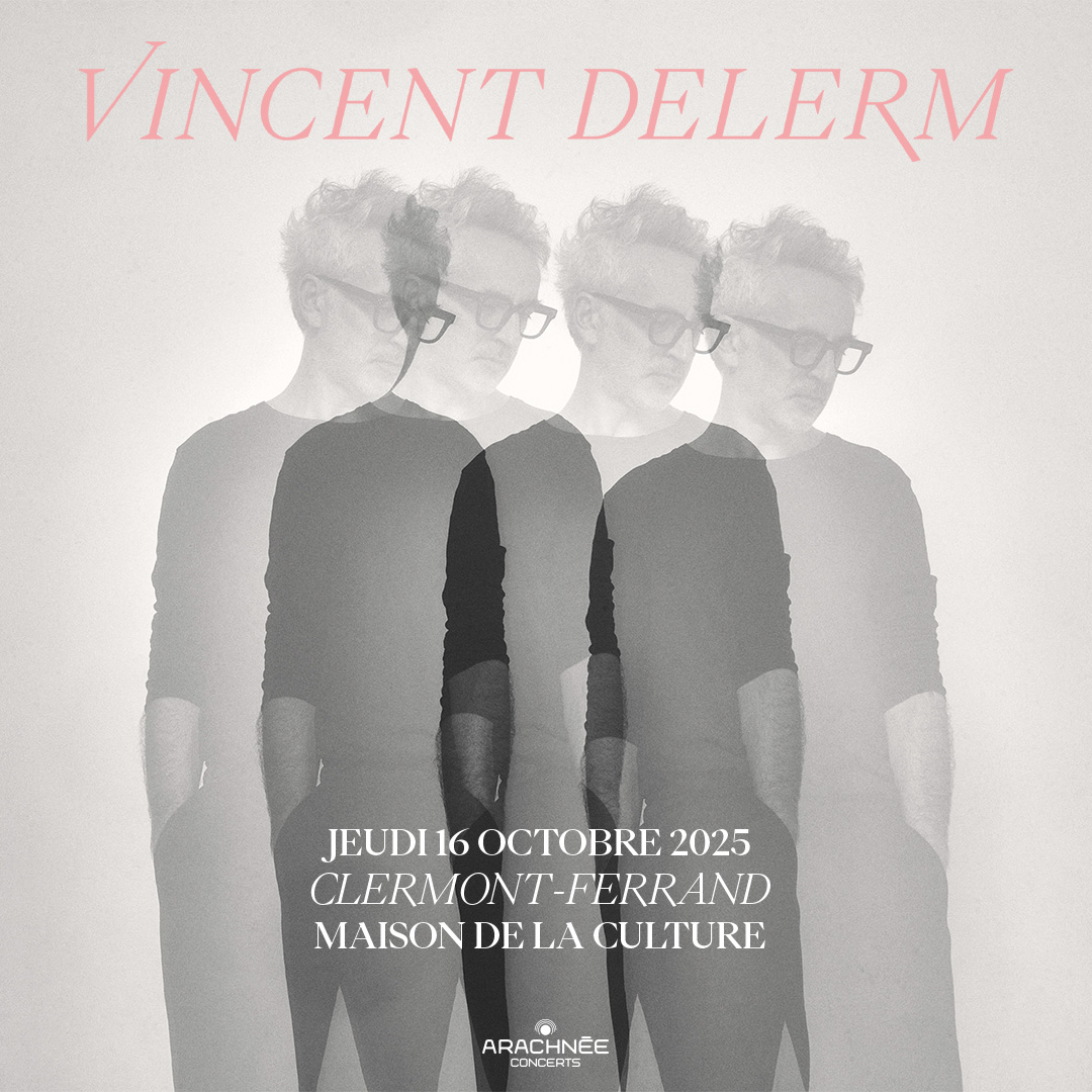 Vincent Delerm | Maison de la culture