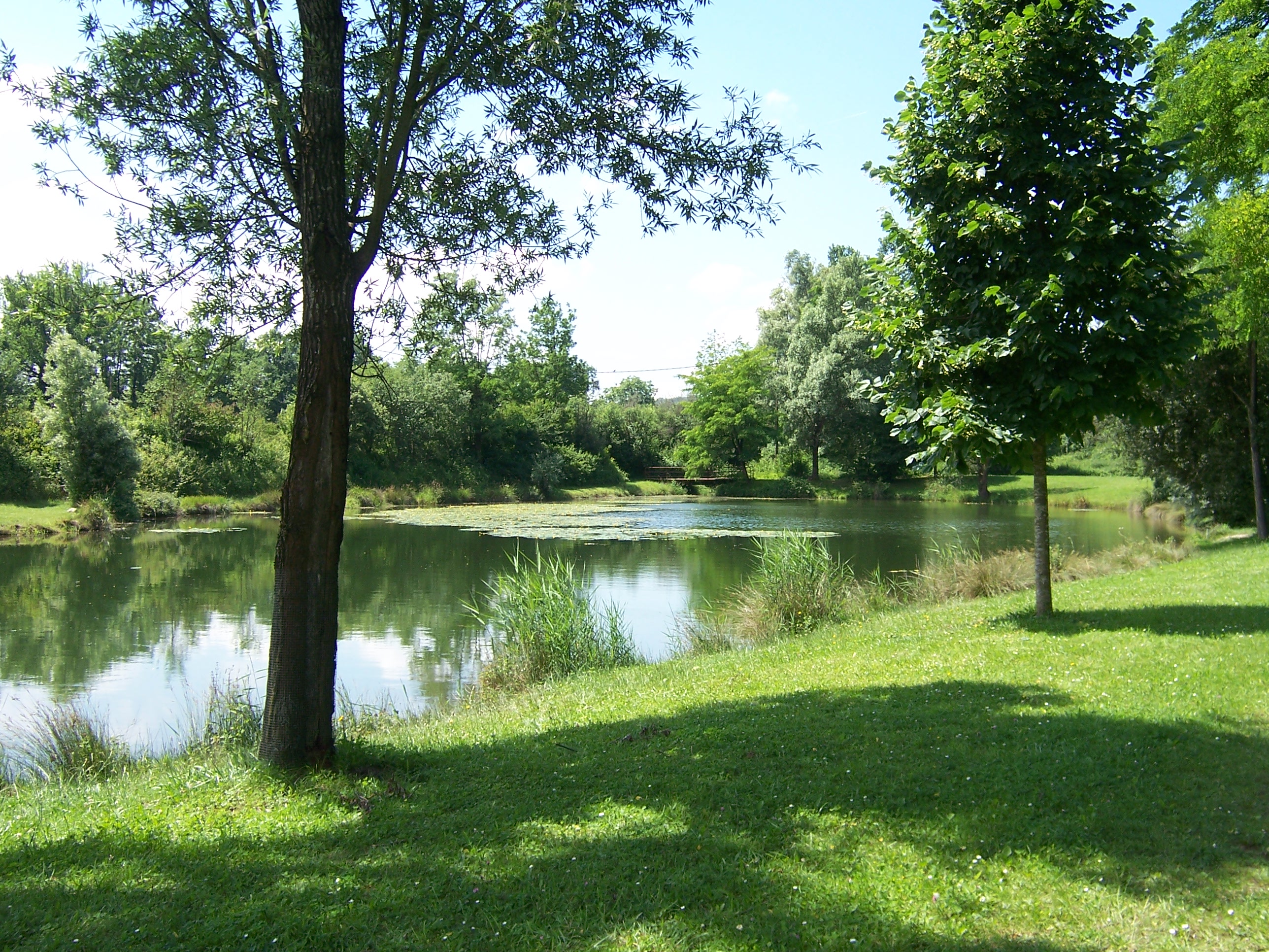 Circuit n° 4 "La Plaine de Montalieu et la Vallée Bleue"