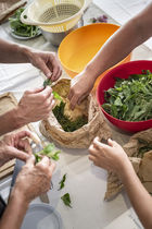 sélection des plantes et rinçage avant de cuisiner des plantes comestibles