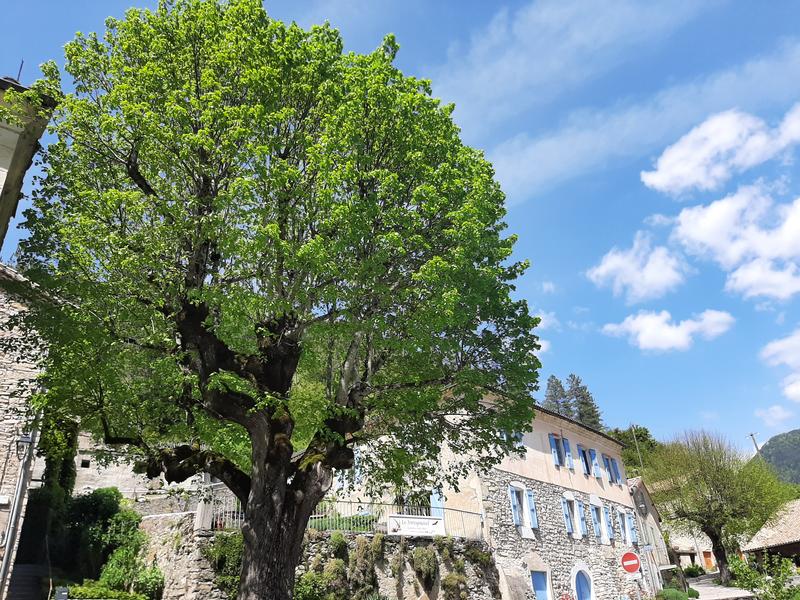 Chambres d'hôtes - Le Sareymond - Châtillon en Diois