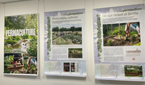 Exposition sur la permaculture_Le Bessat