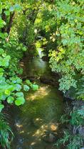 20250807_100203.jpg