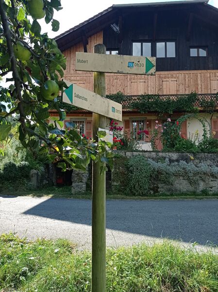 sentier pédestre : balade au Bois de Fessy