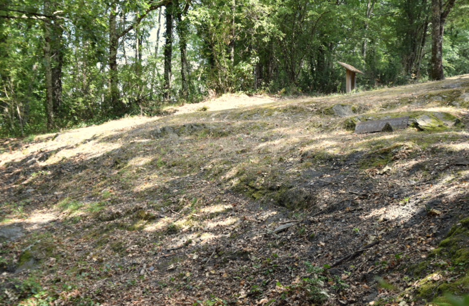 Gradins
