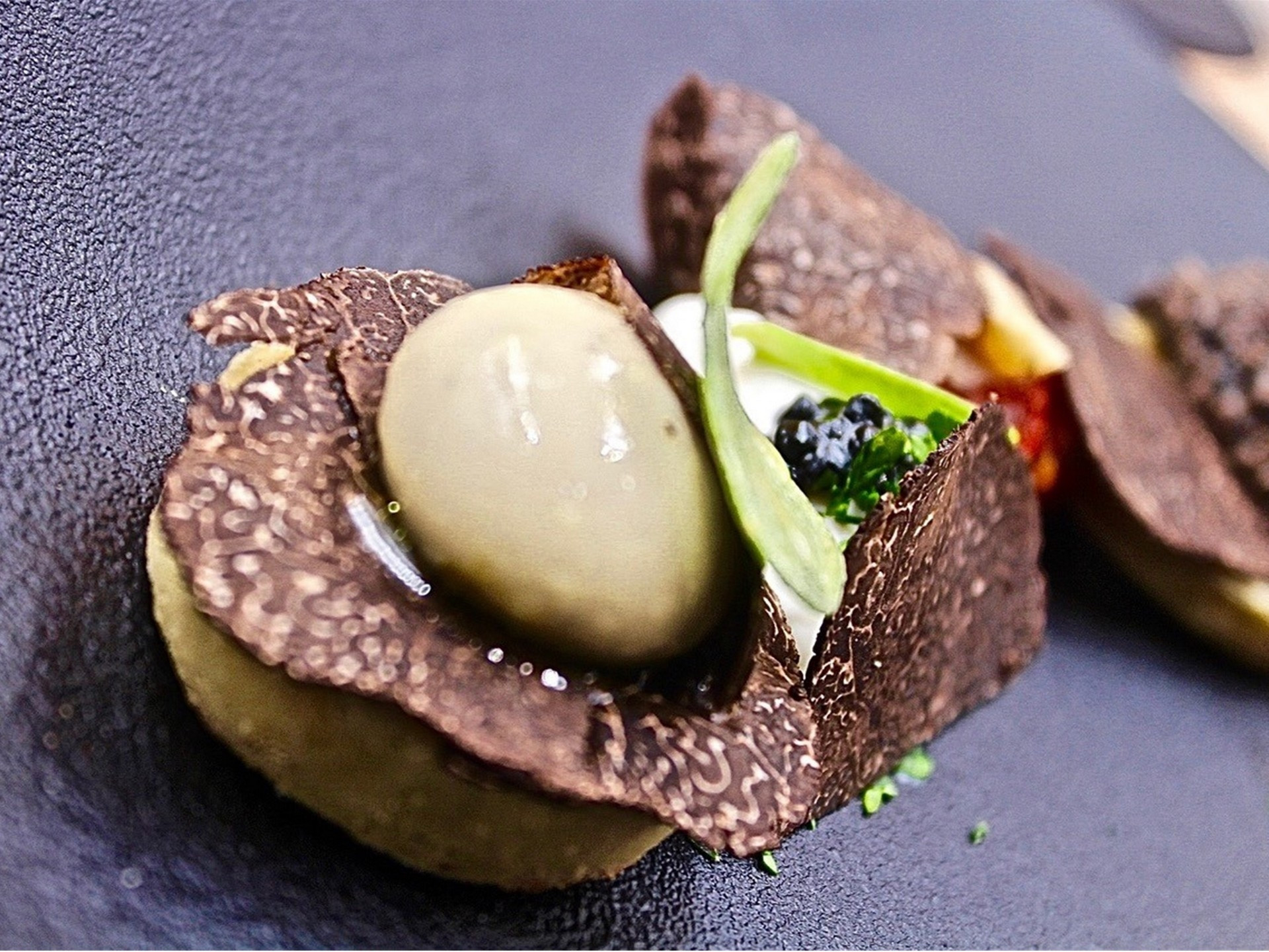 La Truffe dans tous ses États, Bouc-Bel-Air - photo 8