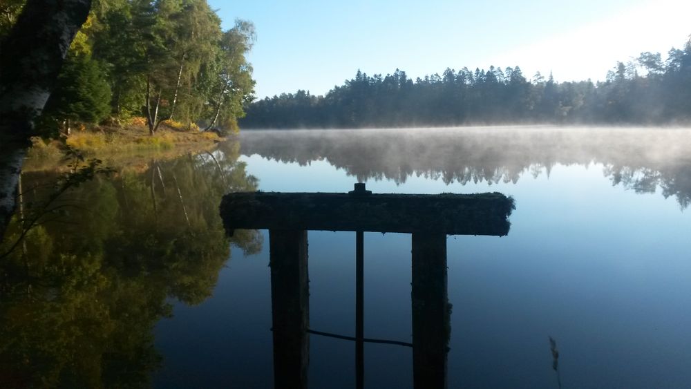 Site de pêche - Étang de Fayat