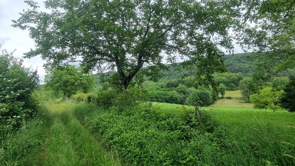 Liaison VTT (L2) Ceyzériat - Ile Chambod Gorges de l'Ain_Ceyzériat