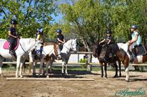 Fête du poney