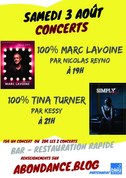 2 Concerts : 100  Marc Lavoine et 100  Tina Turner