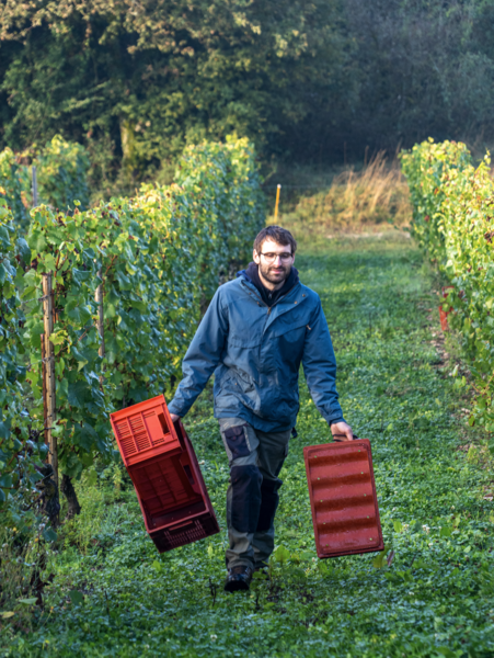 Domaine d'Ici Là Domaine d'Ici Là