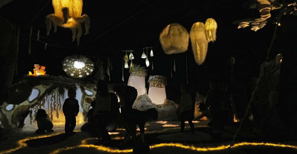 (É)mouvoir - Installation immersive par Entre-eux-deux-rives