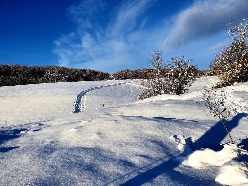 Circuit Raquettes des Plans d'Hotonnes sur le Plateau de Retord