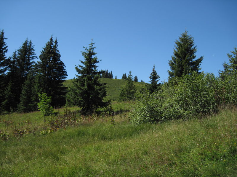 Sentier du Tétras-Lyre