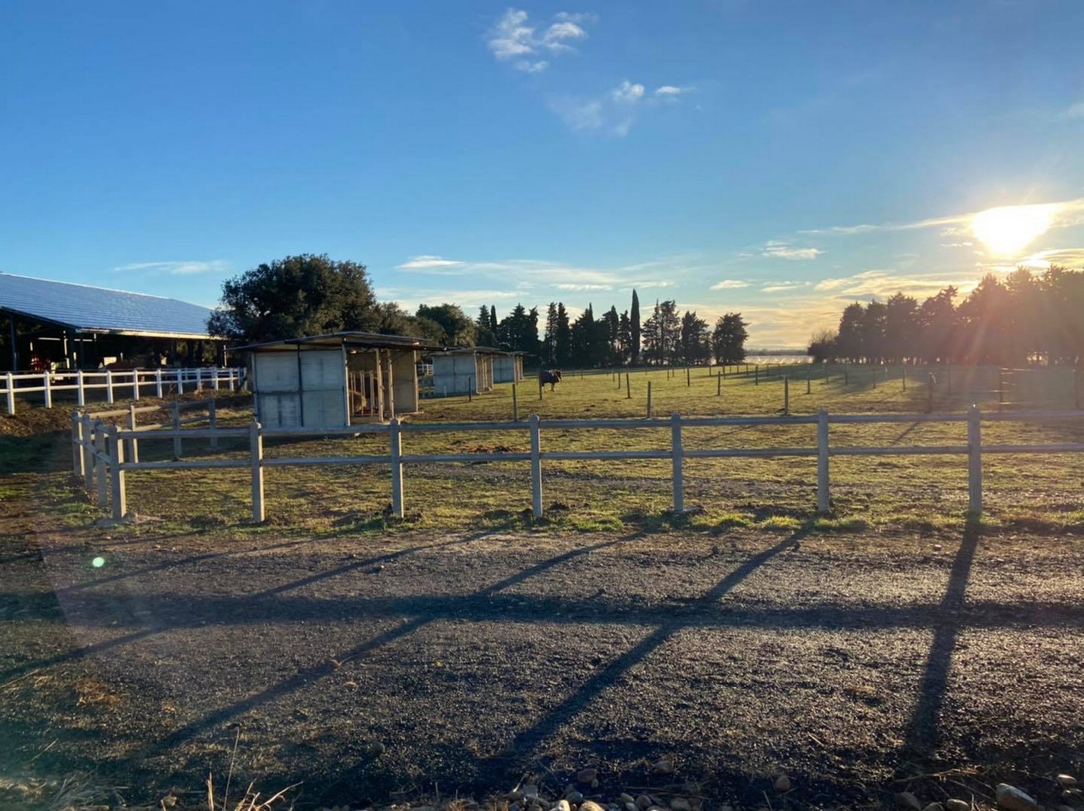 Les Écuries des Hauts de Mouriès, Mouriès - photo 3
