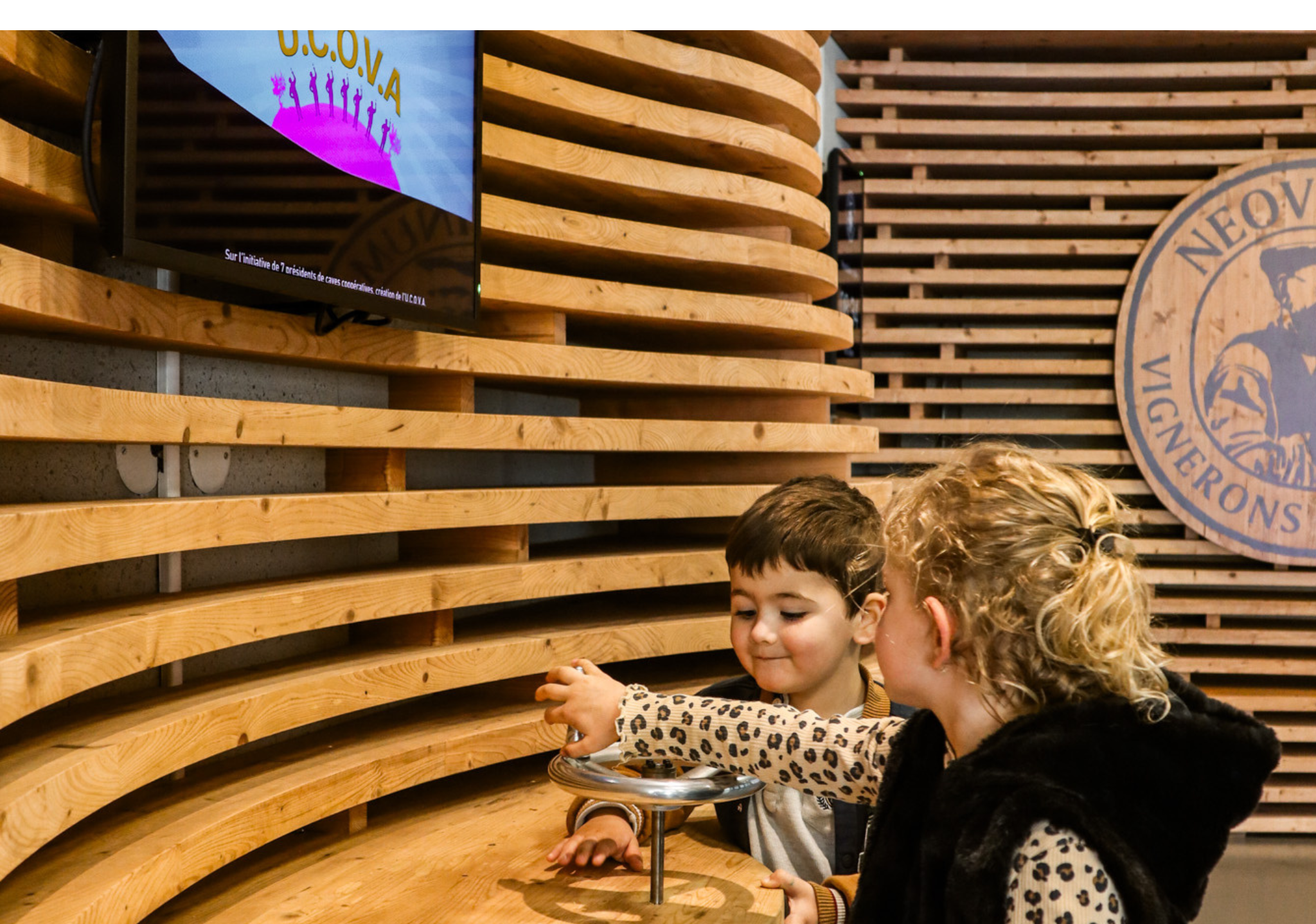 atelier 5 sens apidae 3