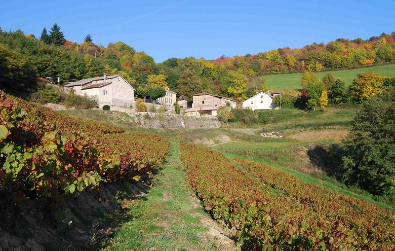 Jean-Luc Ducruix-Domaine de Vavril