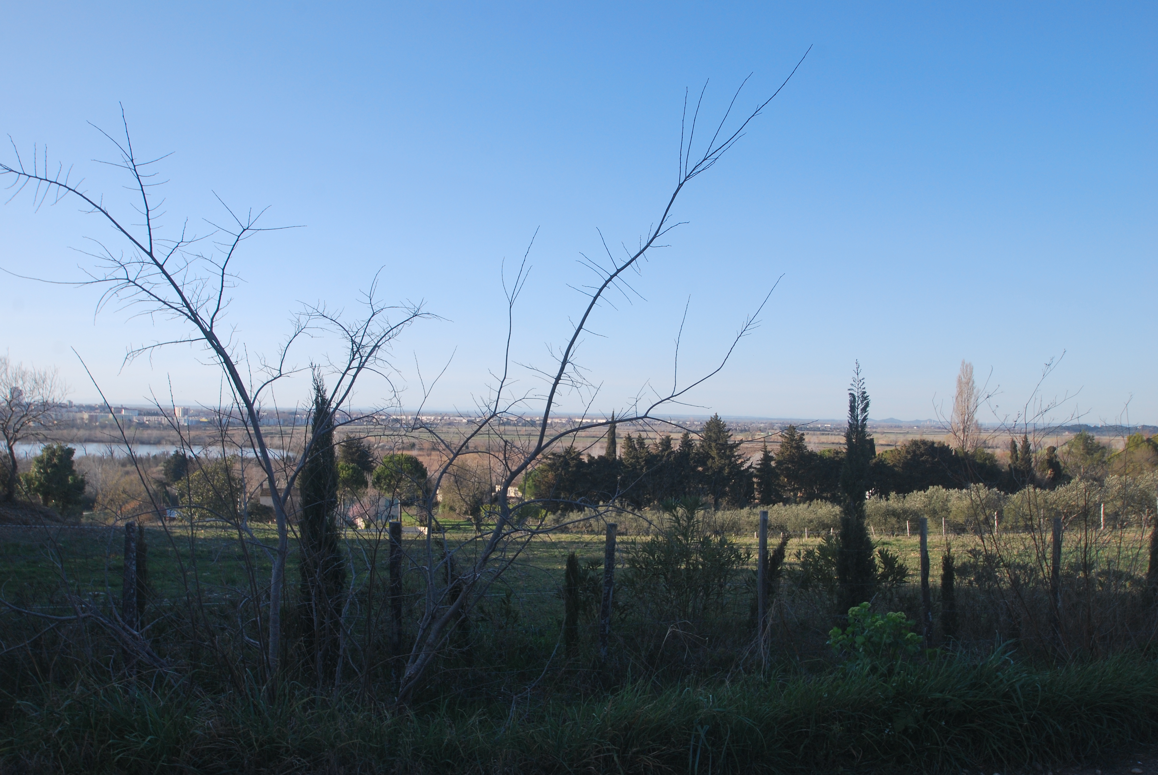 Les Olivades, Arles - photo 7