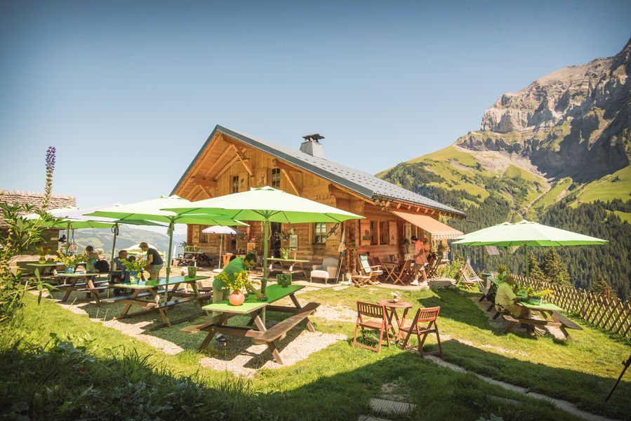 Buvette/Refuge de Bonaveau