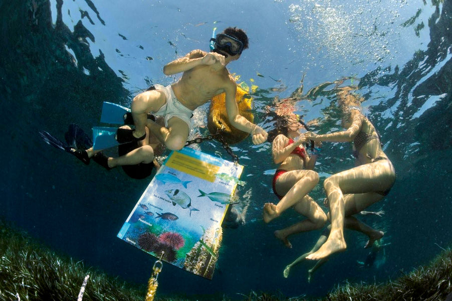 snorkeling au jardin des Mattes