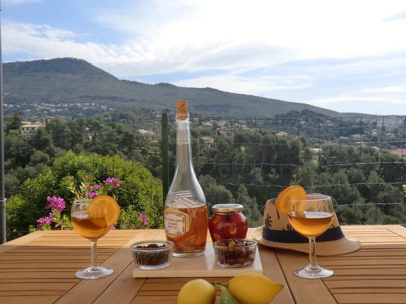 Apéritif avec vue sur Mont Chauve Gîte Magnolia à Colomars Gîtes de France Alpes-Maritimes